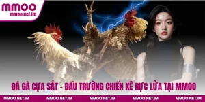 Đá Gà Cựa Sắt - Đấu Trường Chiến Kê Rực Lửa Tại MMOO