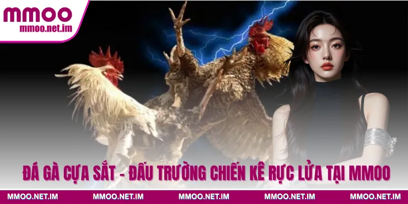 Đá Gà Cựa Sắt - Đấu Trường Chiến Kê Rực Lửa Tại MMOO