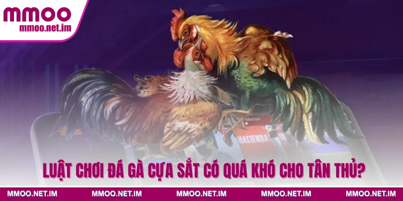 Luật chơi đá gà cựa sắt có quá khó cho tân thủ?