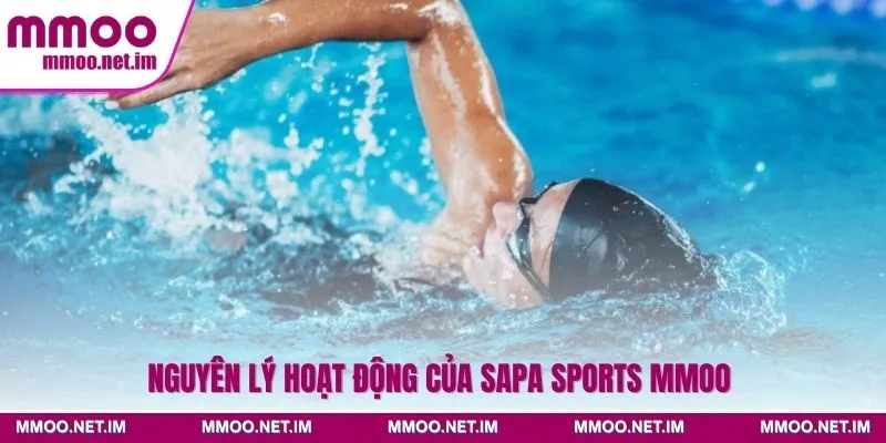 Nguyên lý hoạt động của Sapa Sports MMOO