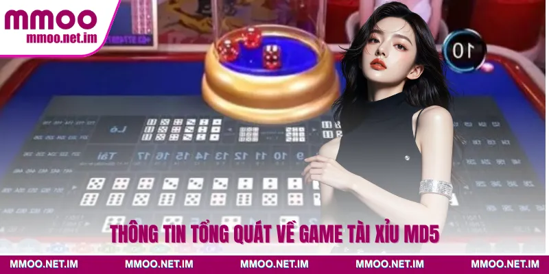 Thông tin tổng quát về game tài xỉu MD5