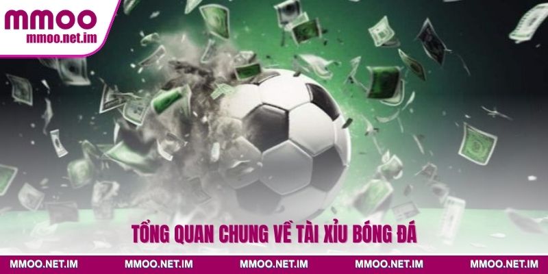 Tổng quan chung về tài xỉu bóng đá